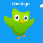 Изучаем иностранные языки с Duolingo