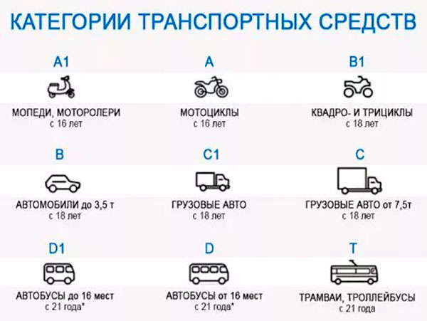 категории